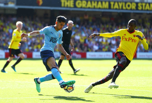 新球队的身 新球队的身