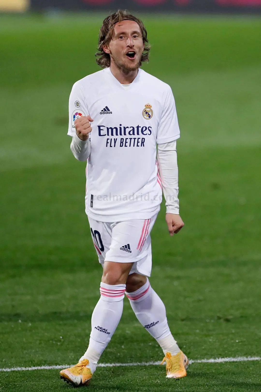 提供了有力 提供了有力